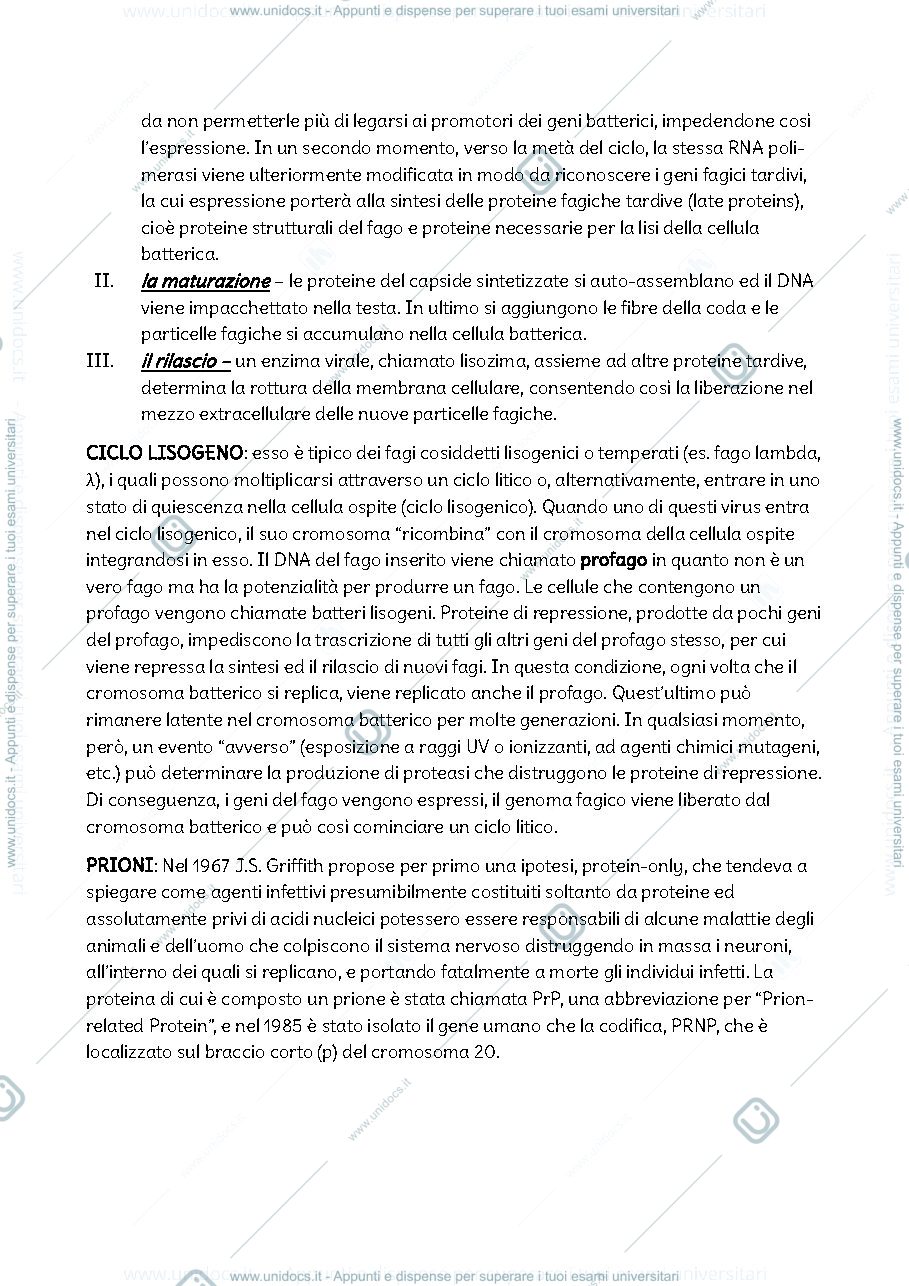Anteprima pagina 5 — Biologia e genetica prima parte 