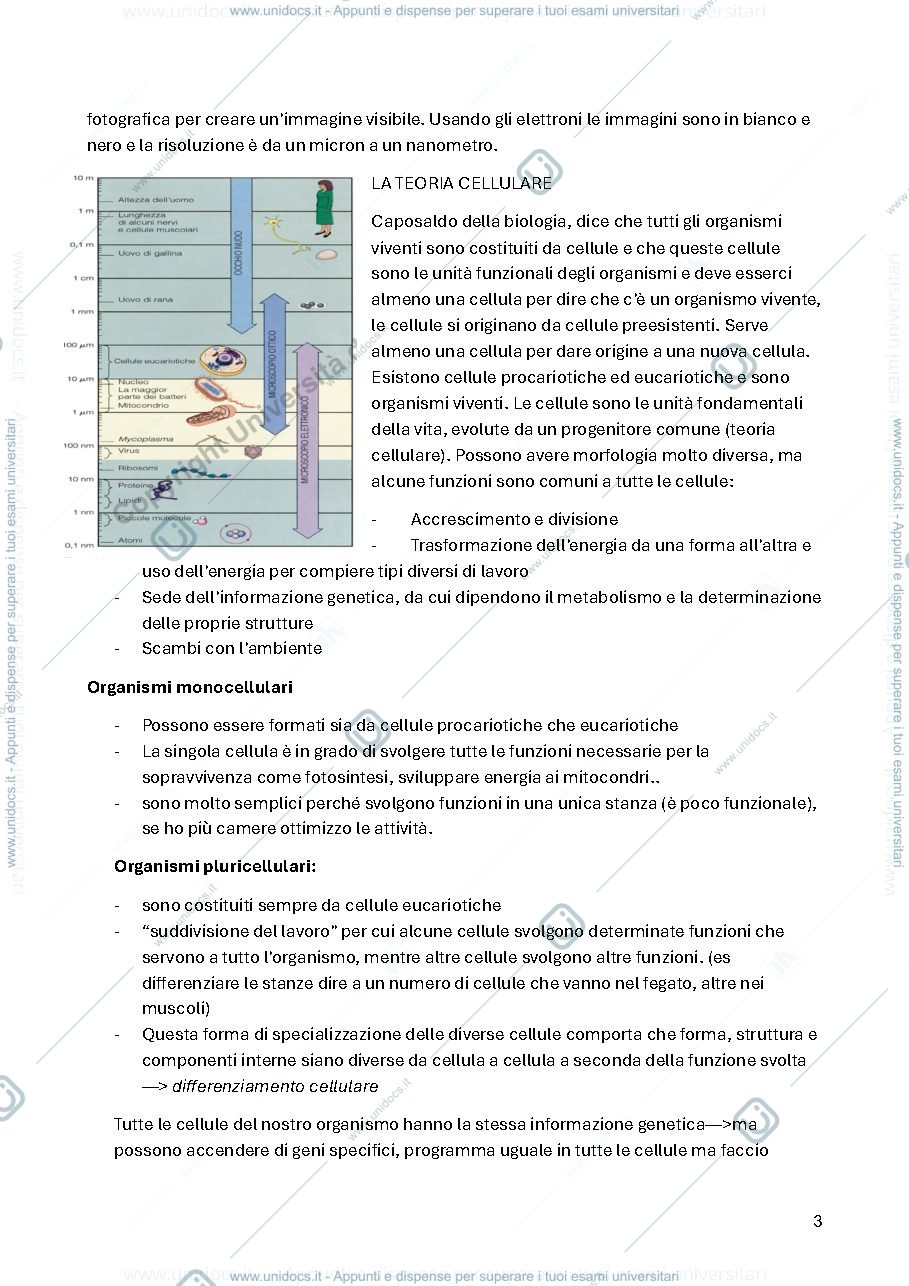 Anteprima pagina 3 — Appunti di biologia 1° tecniche audiometriche