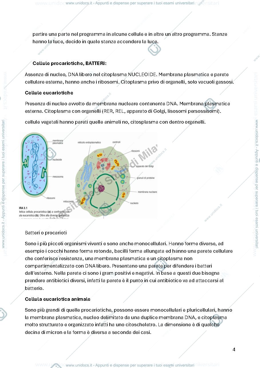 Anteprima pagina 4 — Appunti di biologia 1° tecniche audiometriche