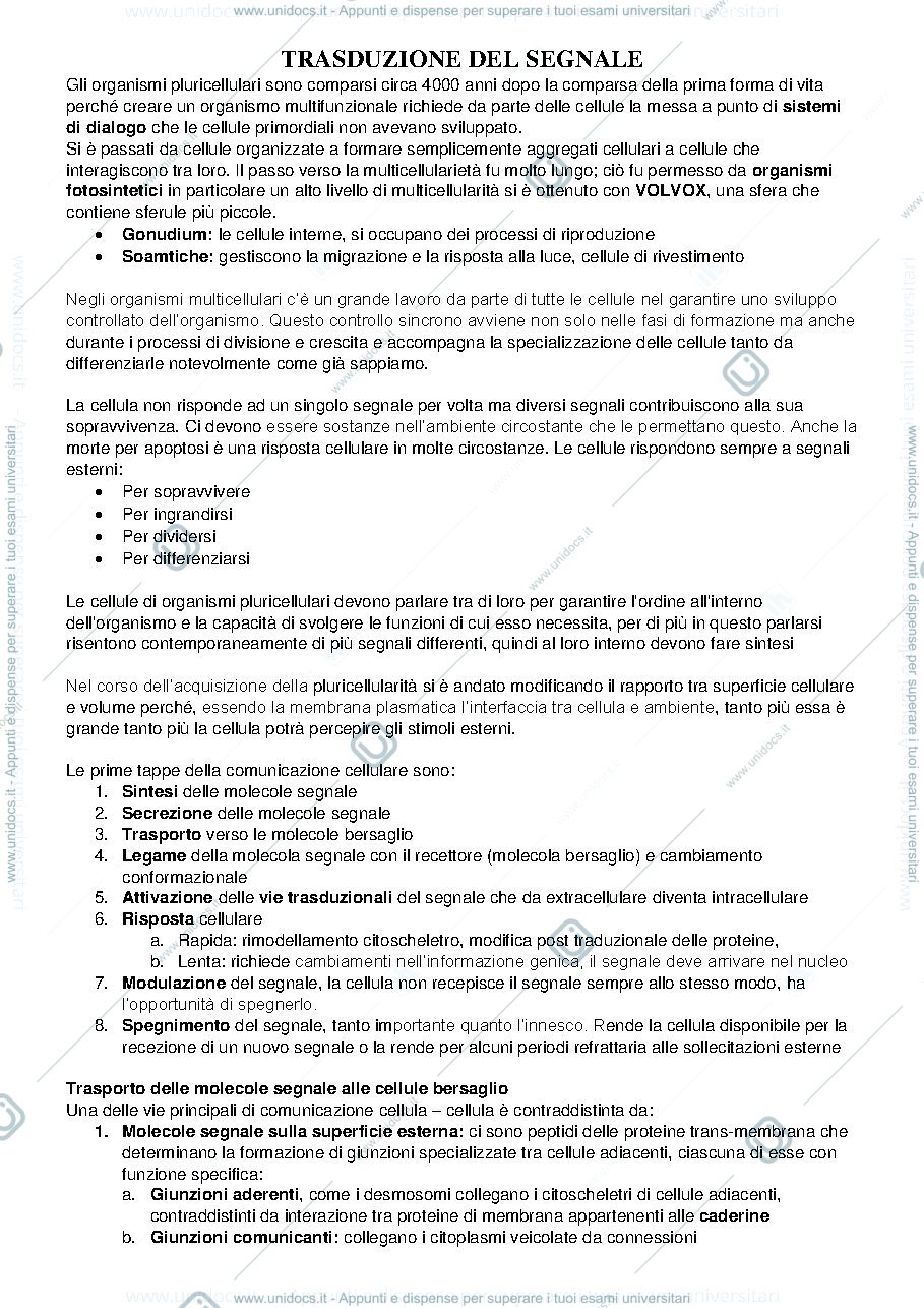 Anteprima pagina 1 — Biologia e Genetica I e II