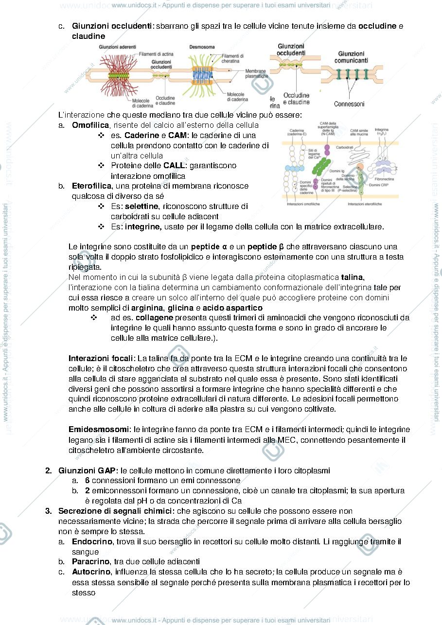 Anteprima pagina 2 — Biologia e Genetica I e II