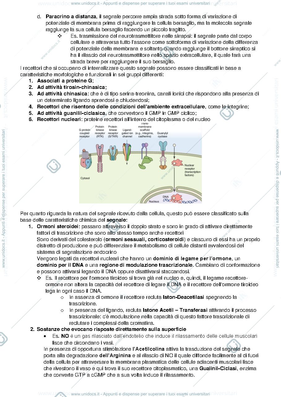 Anteprima pagina 3 — Biologia e Genetica I e II