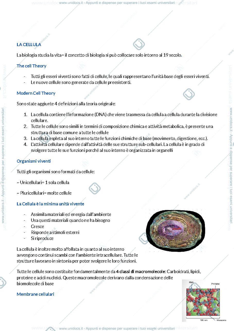 Anteprima pagina 1 — la cellula