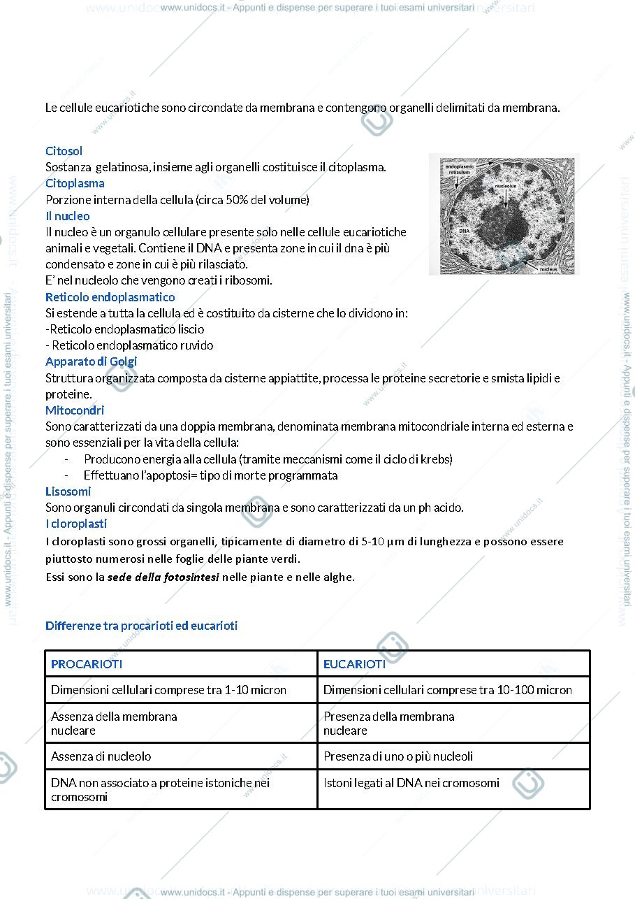 Anteprima pagina 2 — la cellula