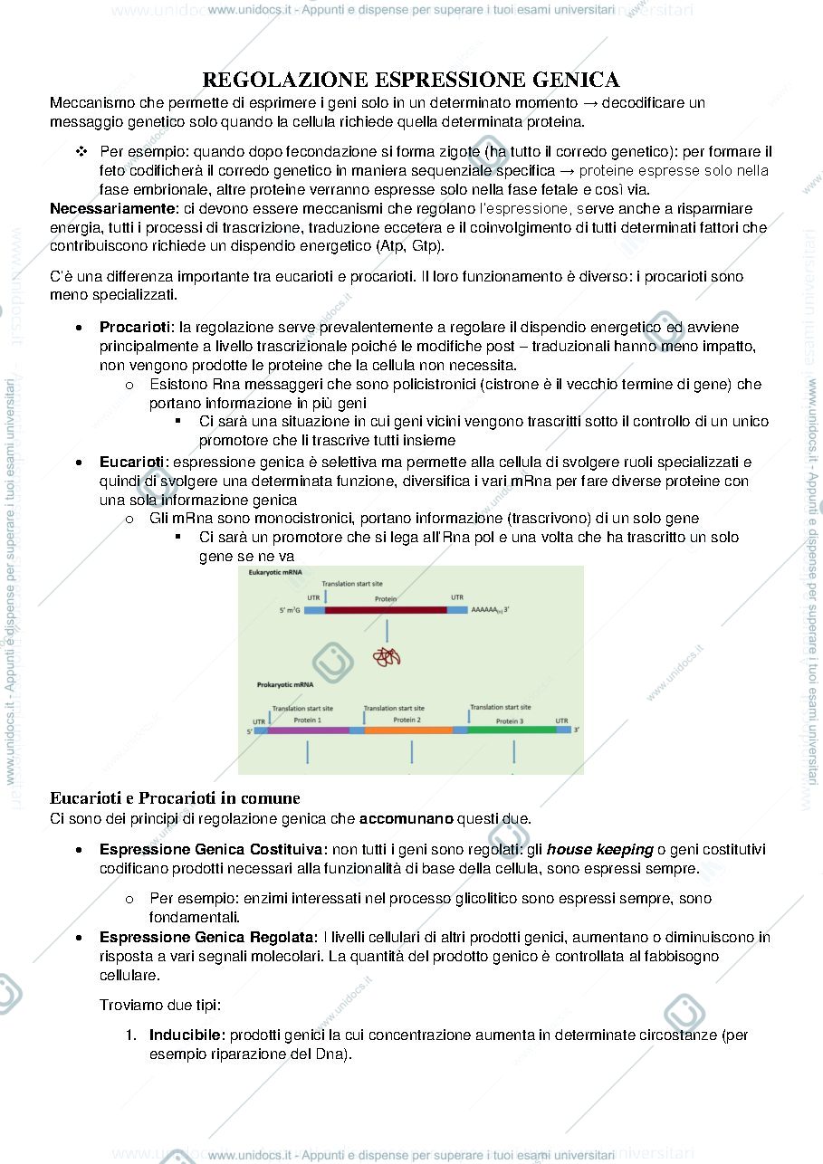 Anteprima pagina 1 — Biologia e Genetica I e II