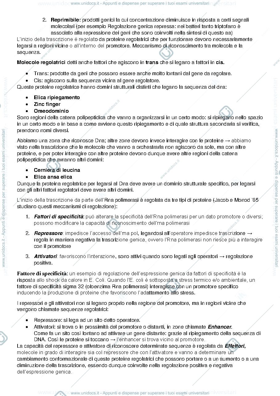 Anteprima pagina 2 — Biologia e Genetica I e II