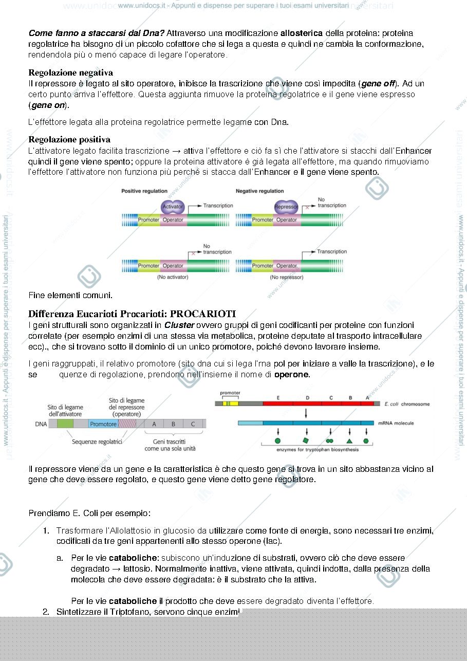 Anteprima pagina 3 — Biologia e Genetica I e II