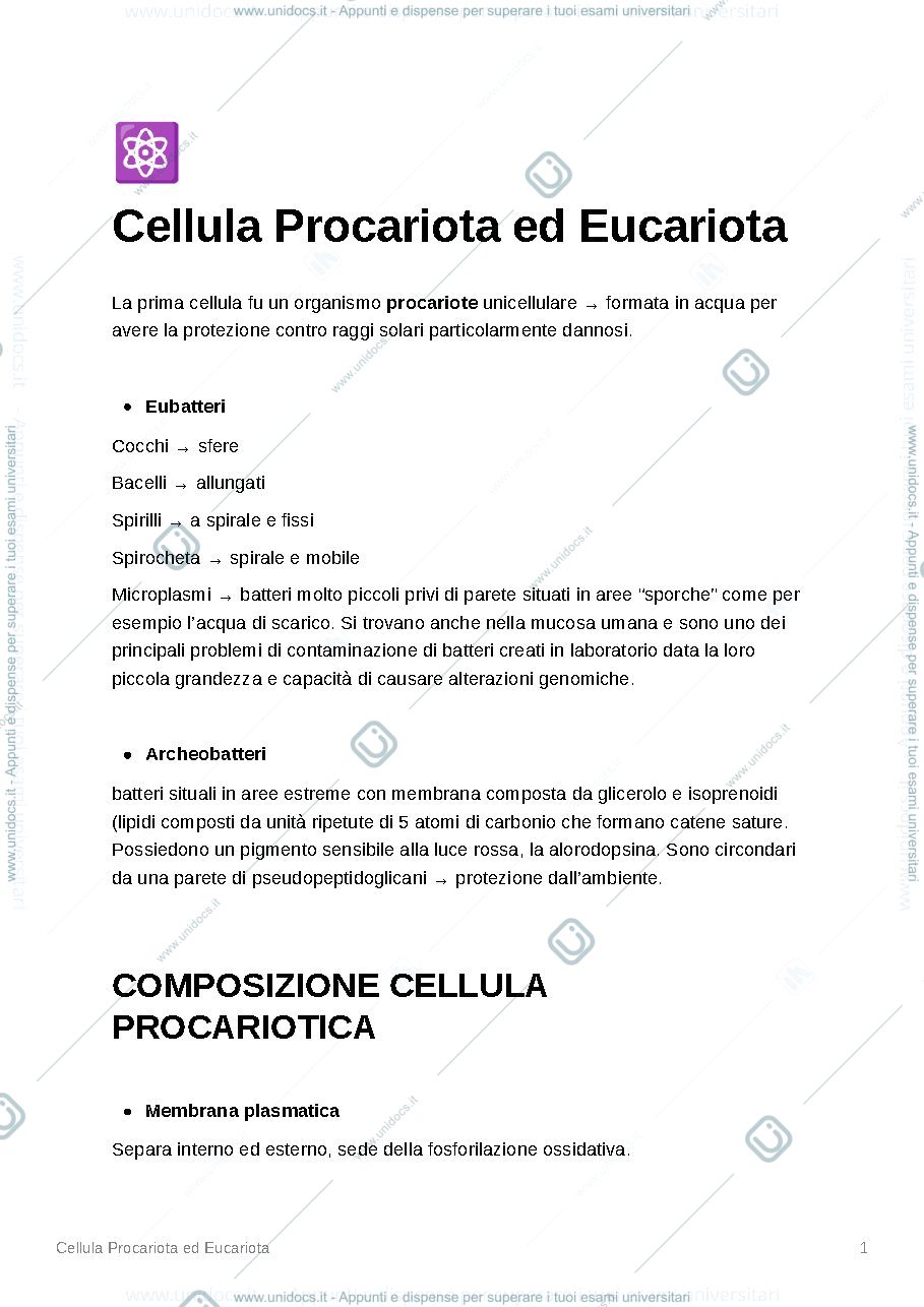 Anteprima pagina 1 — cellula procariote, eucariote