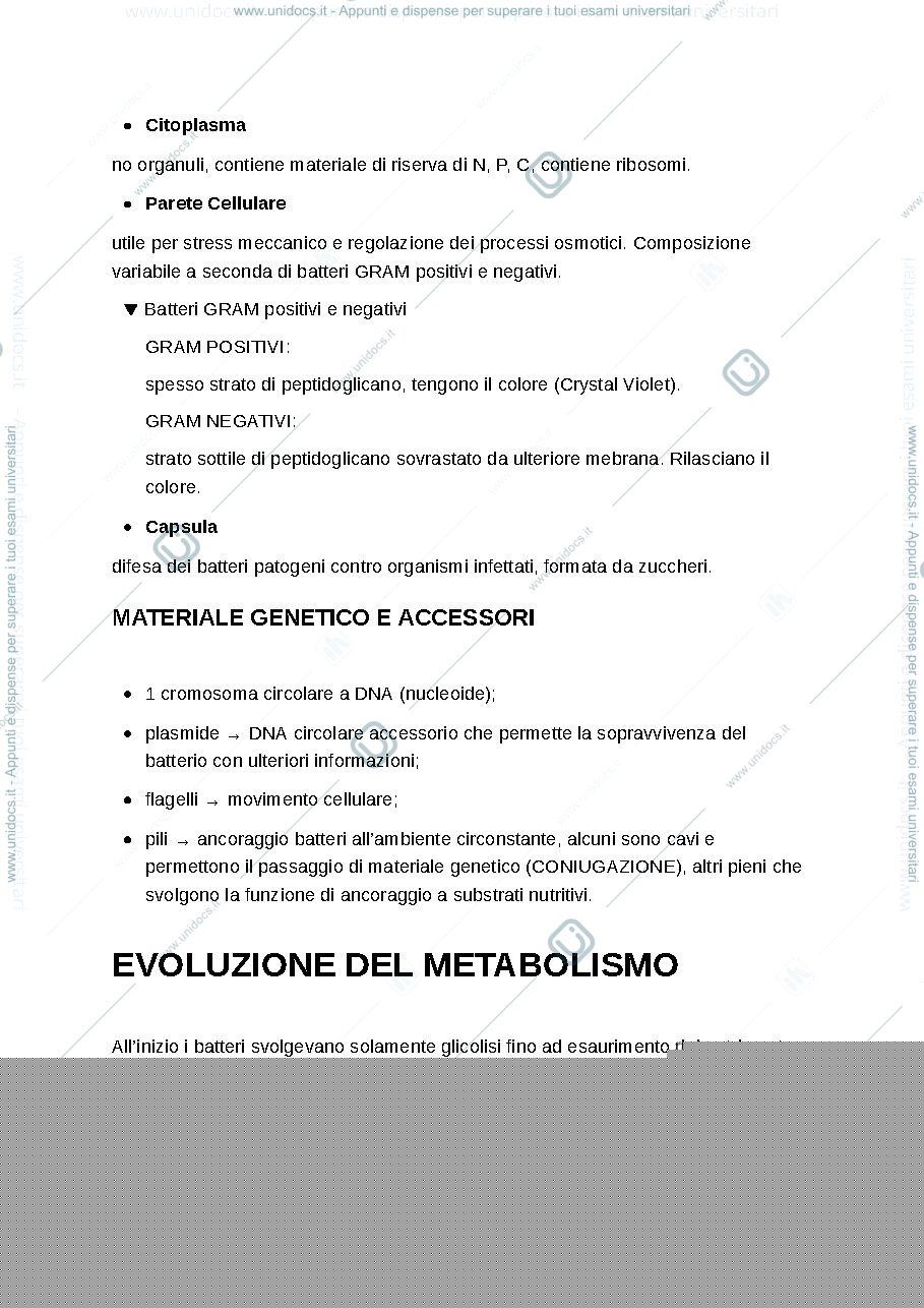 Anteprima pagina 2 — cellula procariote, eucariote