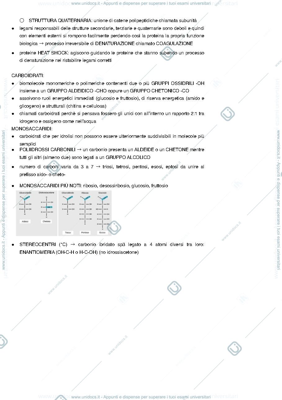 Anteprima pagina 5 — Appunti Semestre Filtro Biologia