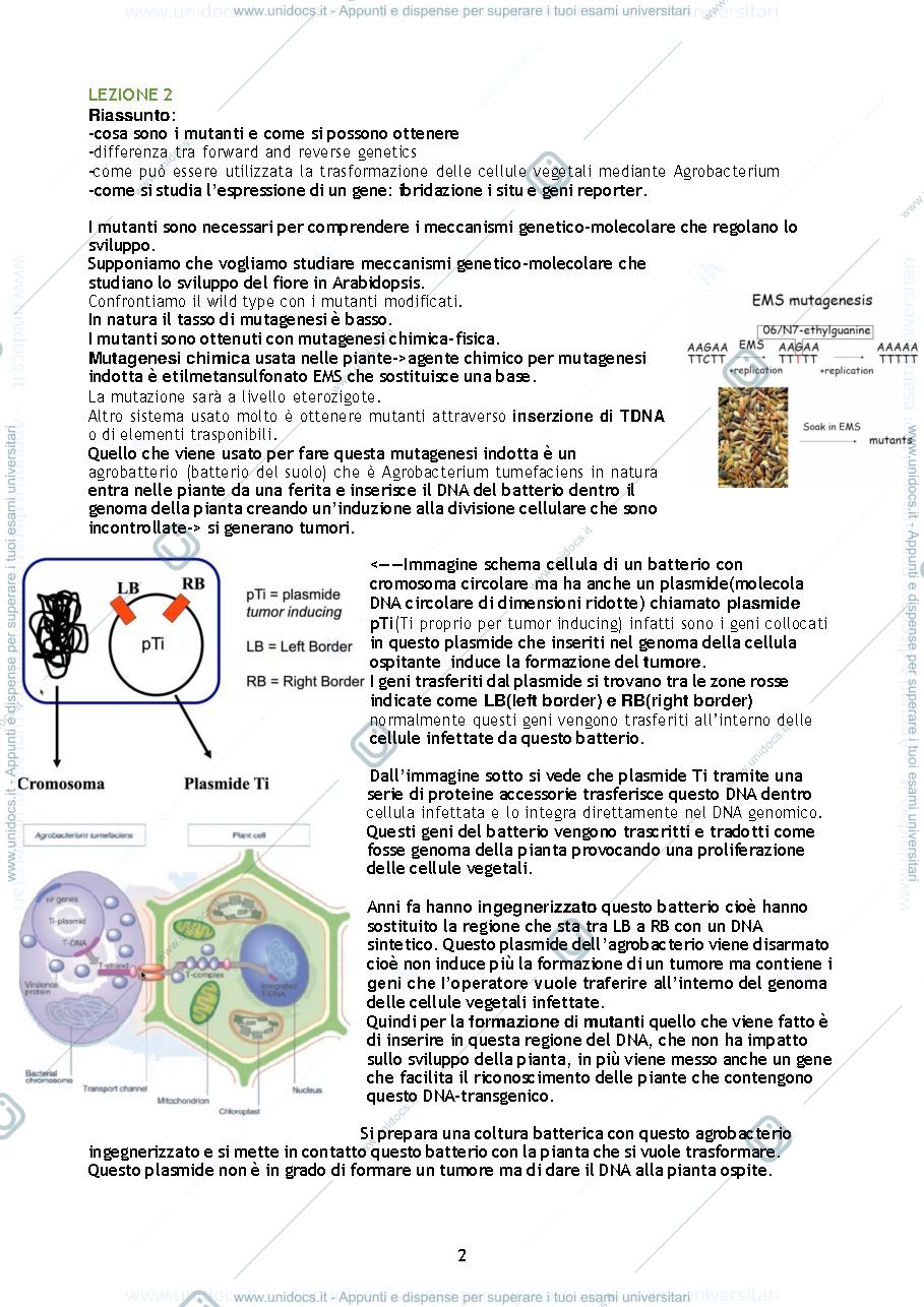 Anteprima pagina 2 — Biologia e sistematica vegetale