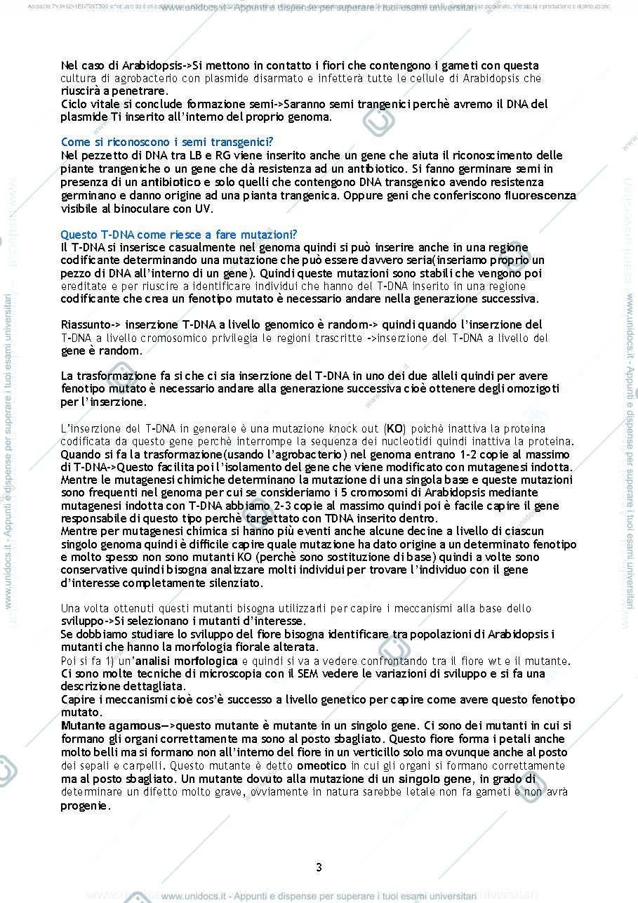 Anteprima pagina 3 — Biologia e sistematica vegetale