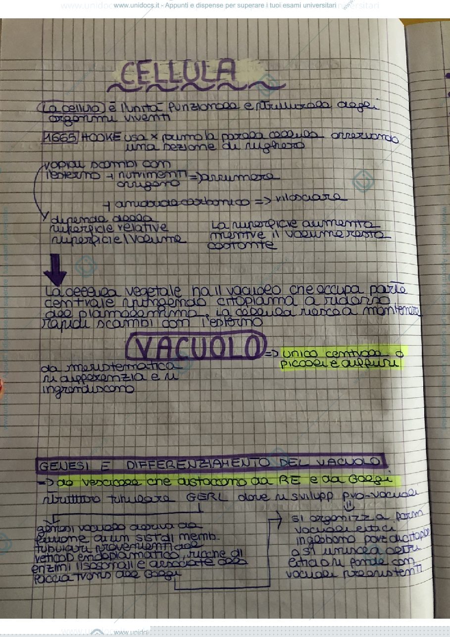 Anteprima pagina 2 — Plastidi e vacuolo 
