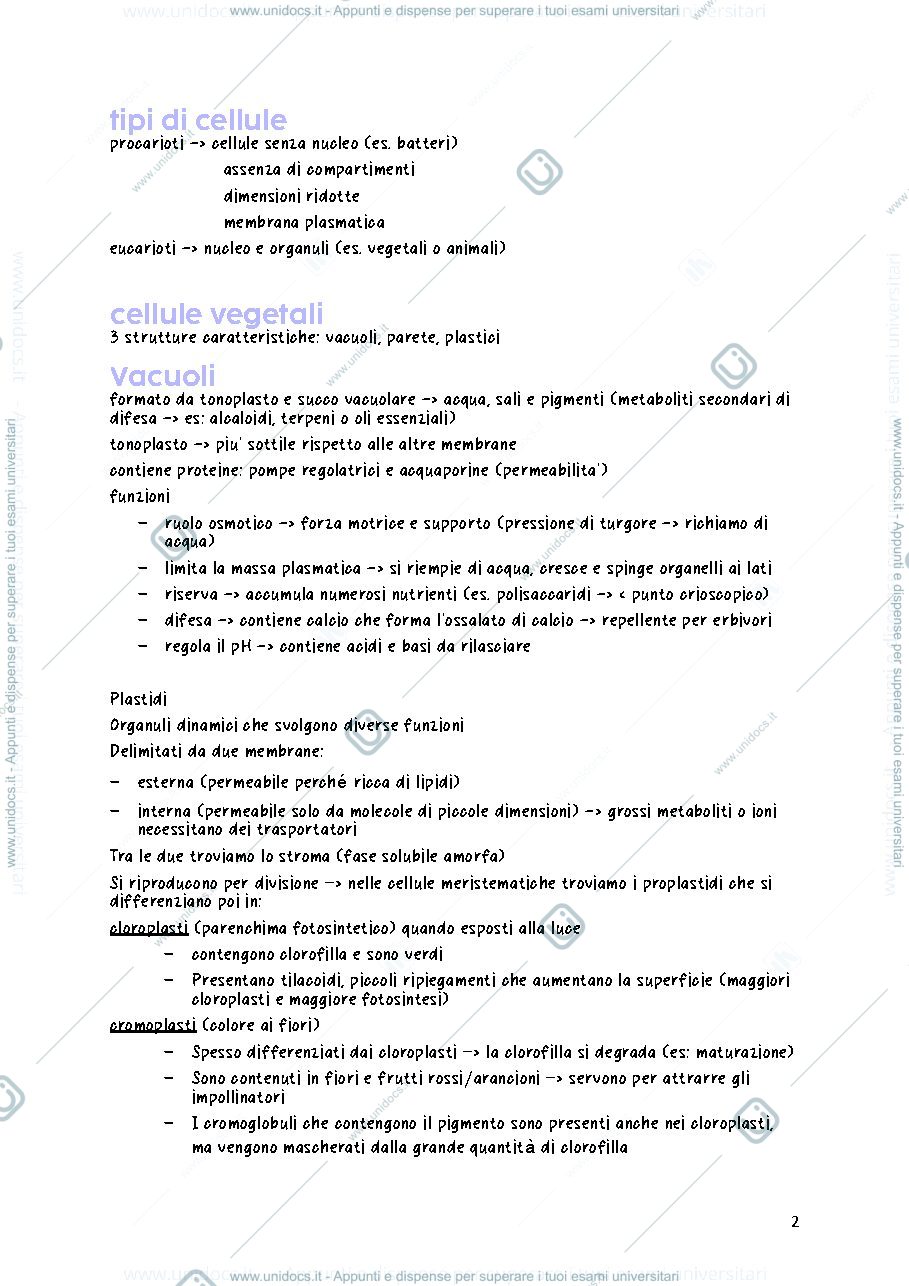 Anteprima pagina 2 — biologia vegetale