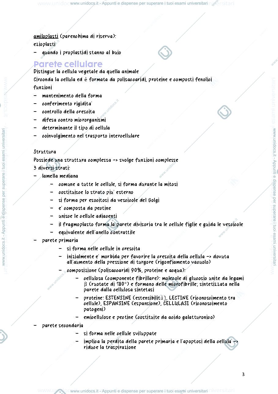 Anteprima pagina 3 — biologia vegetale