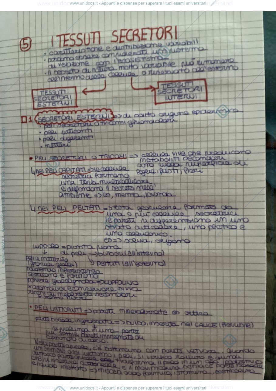 Anteprima pagina 1 — I tessuti secretori 