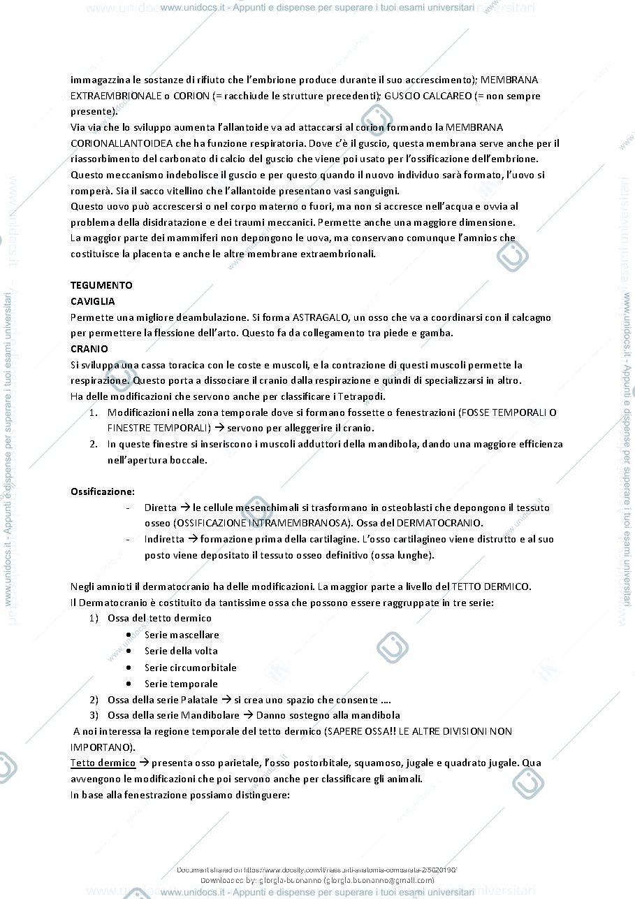 Anteprima pagina 3 — Riassunto di anatomia comparata