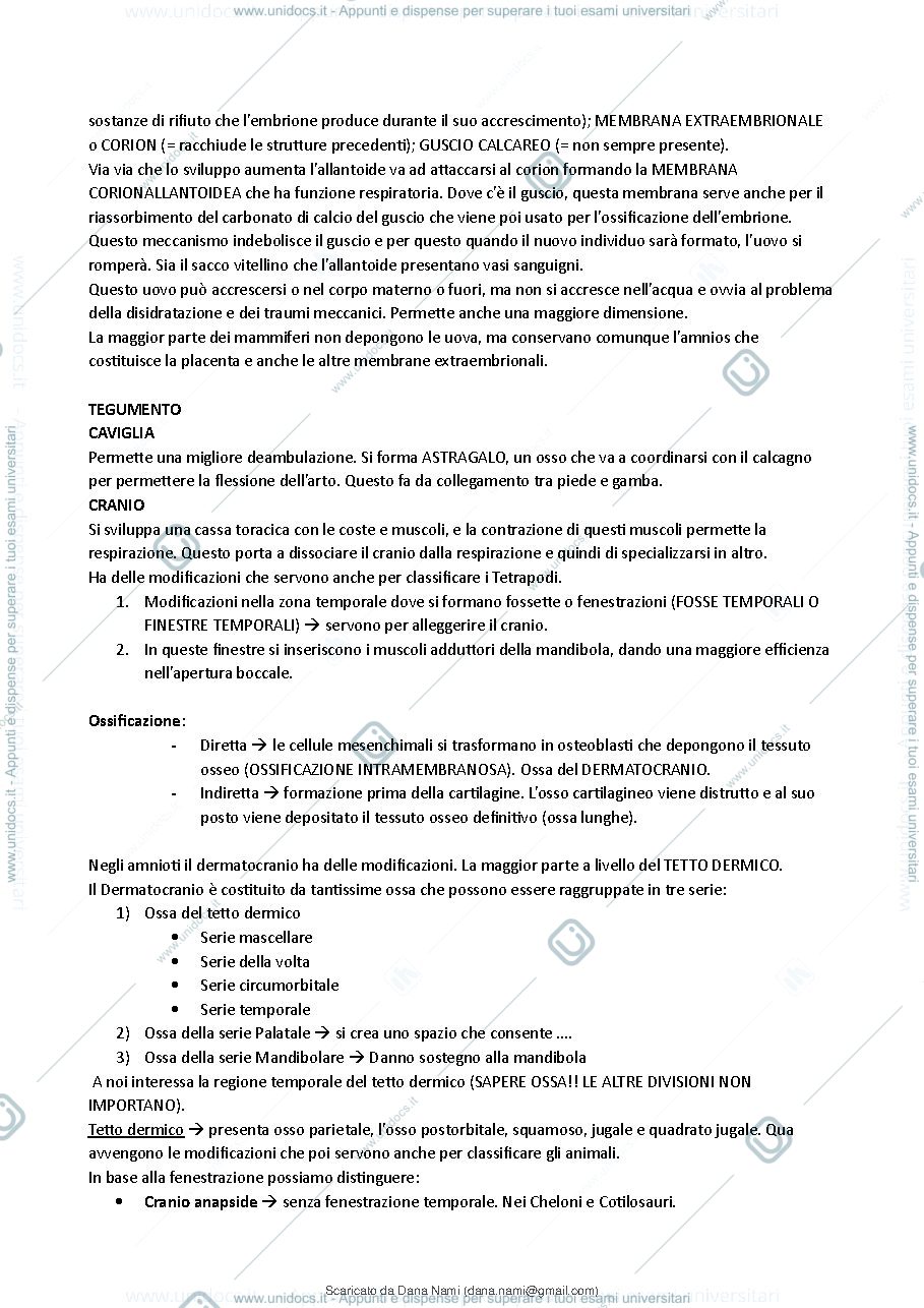 Anteprima pagina 3 — Anatomia comparata prima parte
