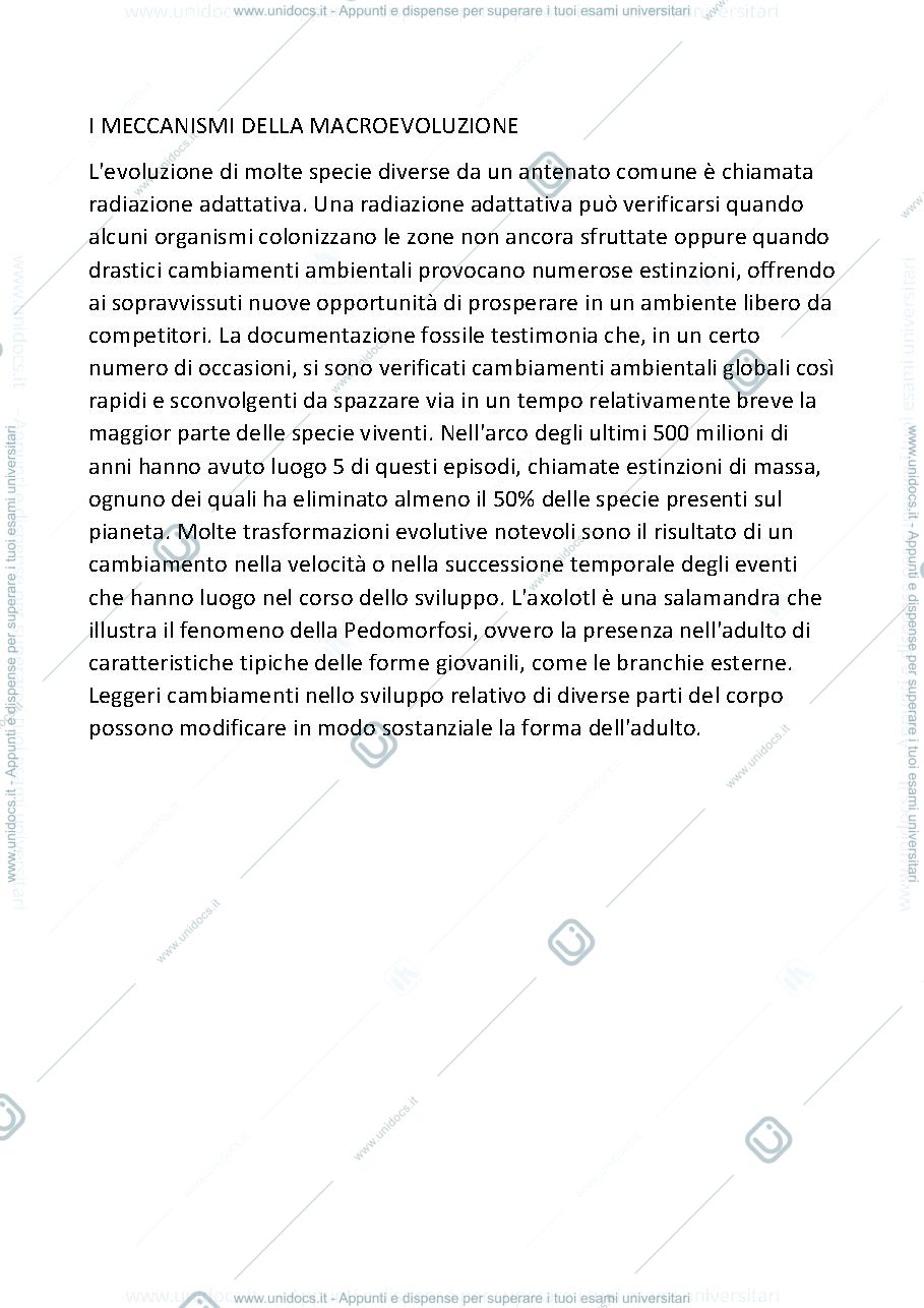 Anteprima pagina 1 — I MECCANISMI DELLA MACROEVOLUZIONE 