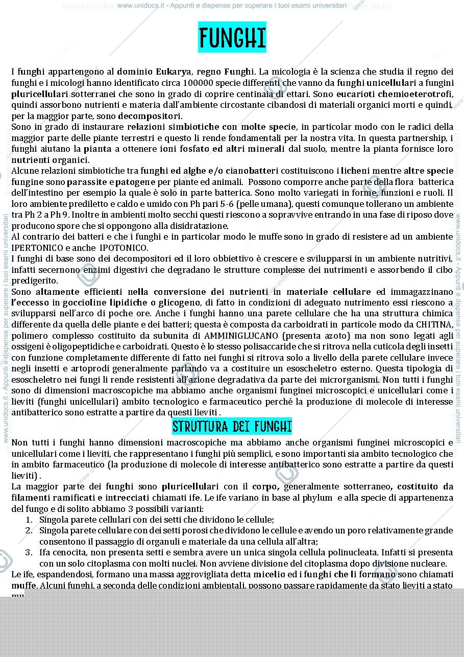 Anteprima pagina 1 — I funghi riproduzione e metabolismo 