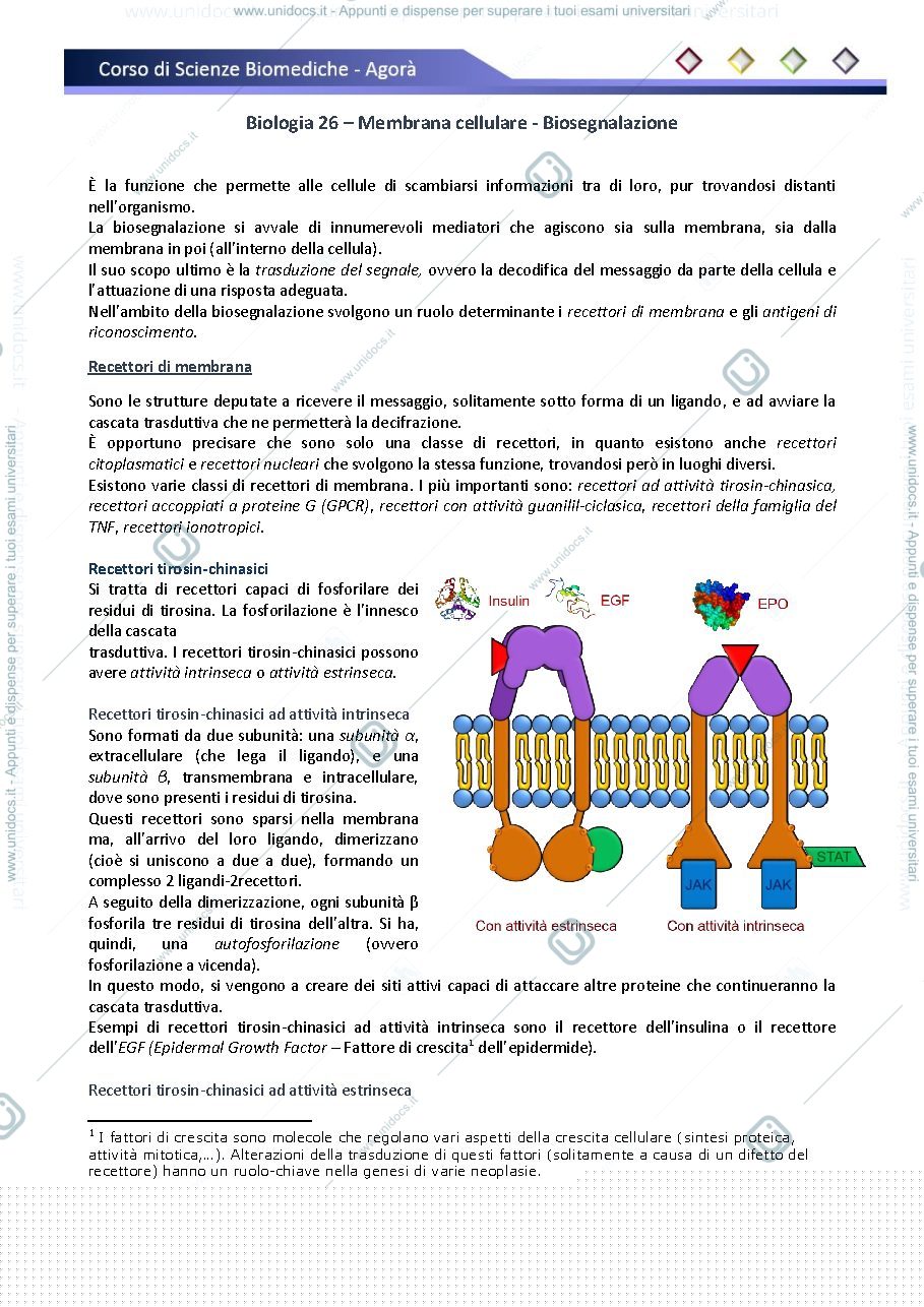 Anteprima pagina 1 — Biologia 
