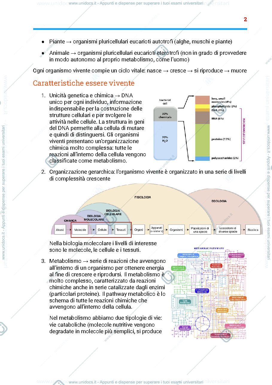 Anteprima pagina 2 — Riassunto programma biologia,fisiologia e anatomia