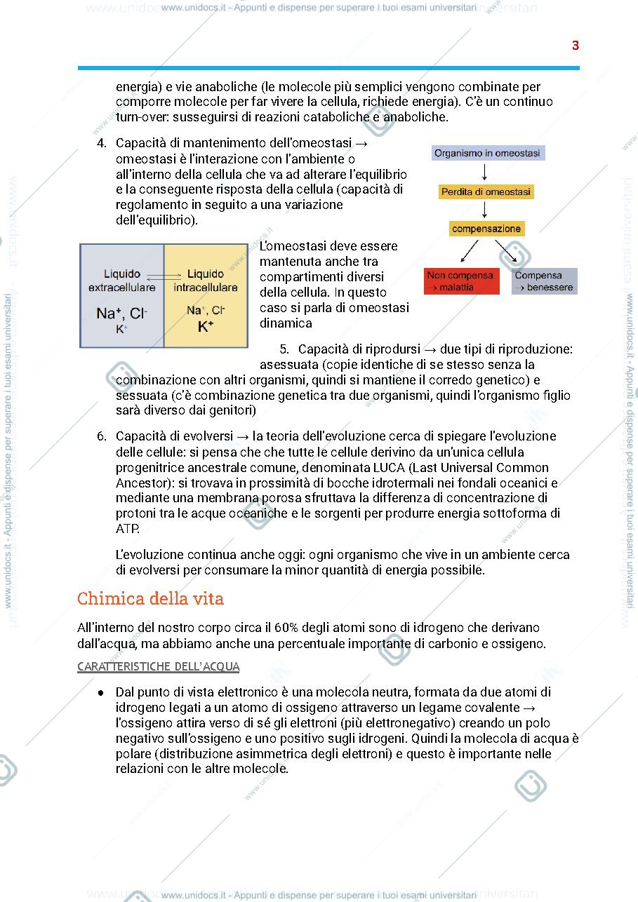 Anteprima pagina 3 — Riassunto programma biologia,fisiologia e anatomia