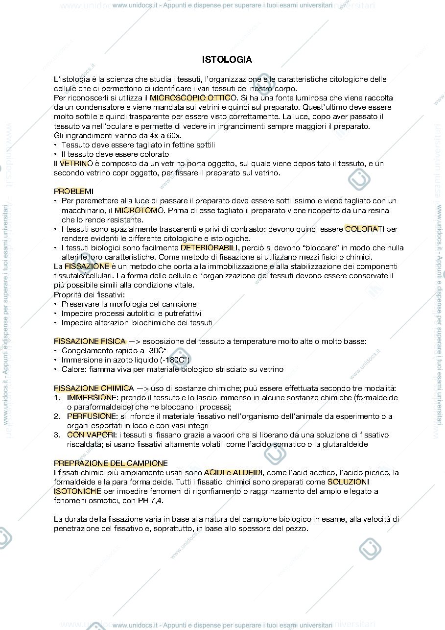 Anteprima pagina 2 — APPUNTI ISTOLOGIA 