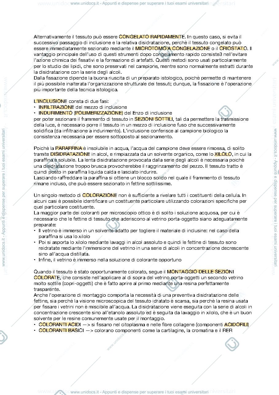 Anteprima pagina 3 — APPUNTI ISTOLOGIA 