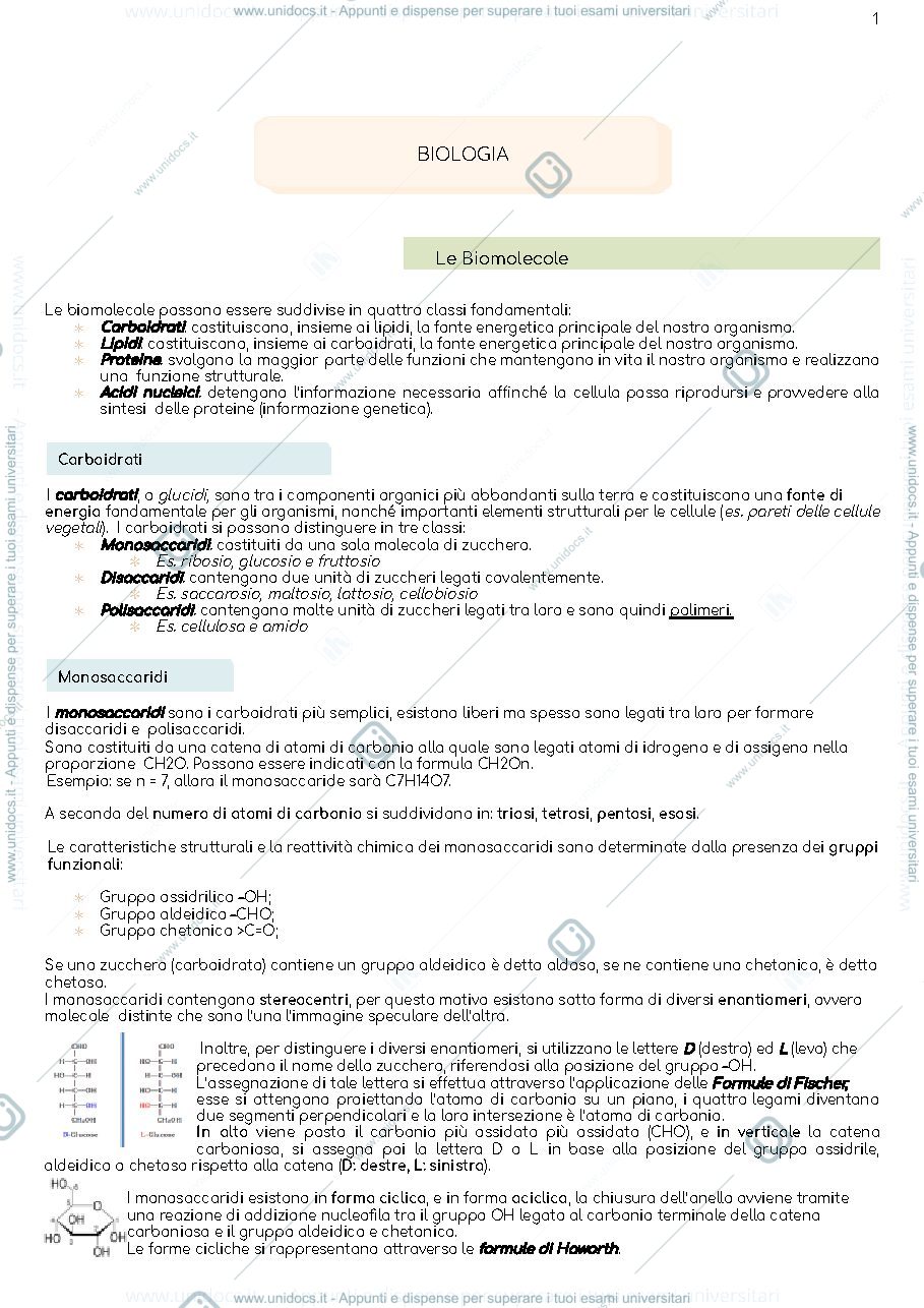Anteprima pagina 1 — Appunti biologia 