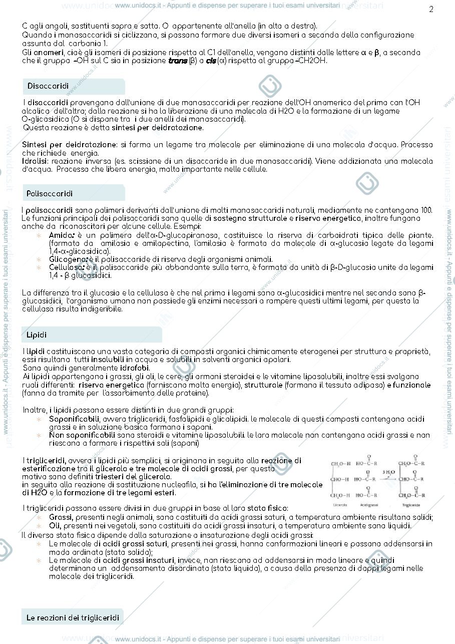 Anteprima pagina 2 — Appunti biologia 