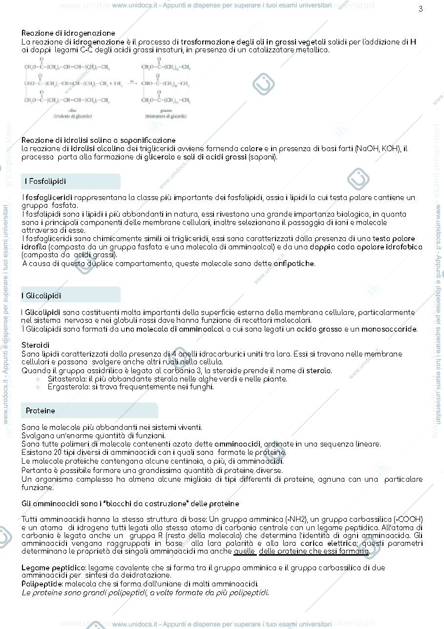 Anteprima pagina 3 — Appunti biologia 