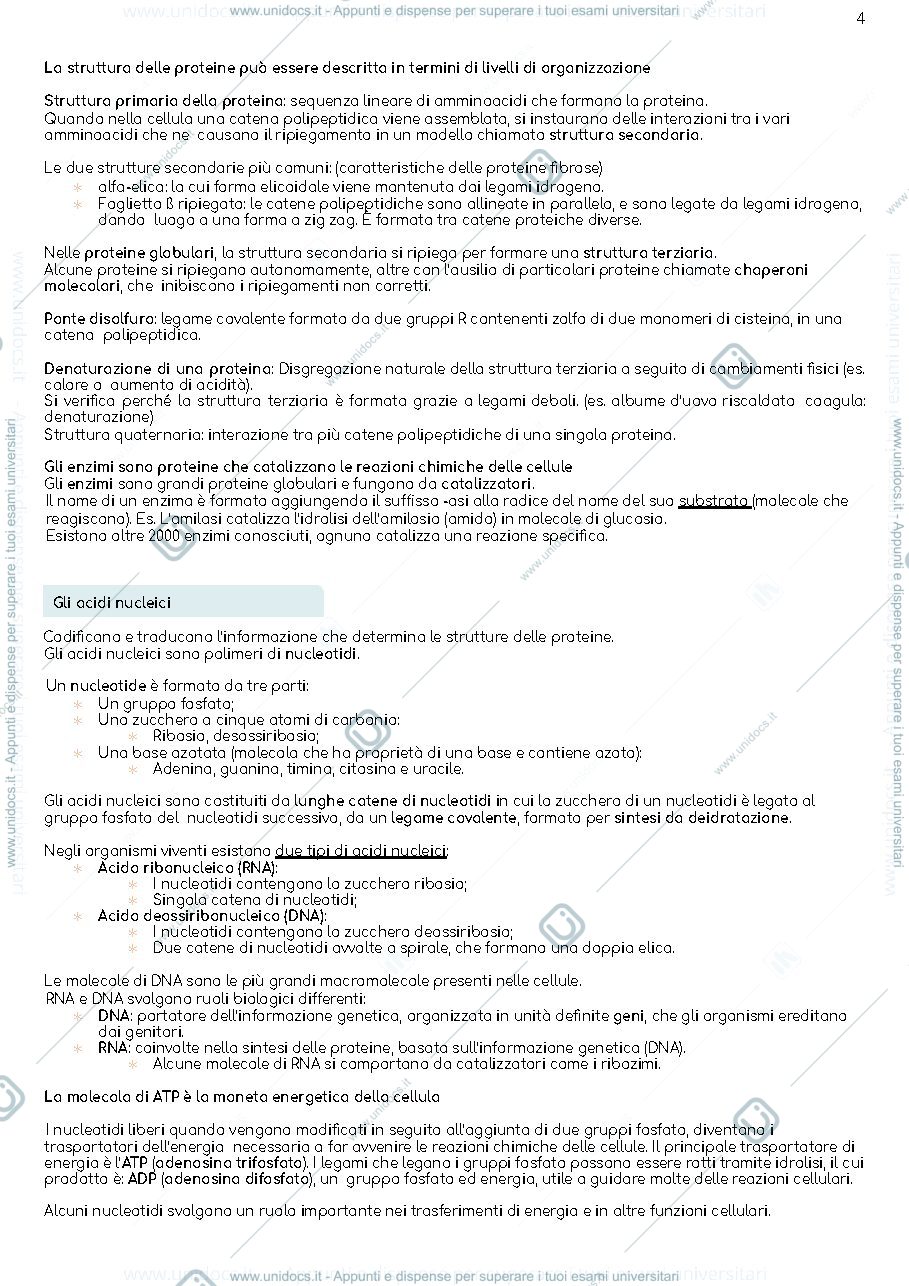 Anteprima pagina 4 — Appunti biologia 