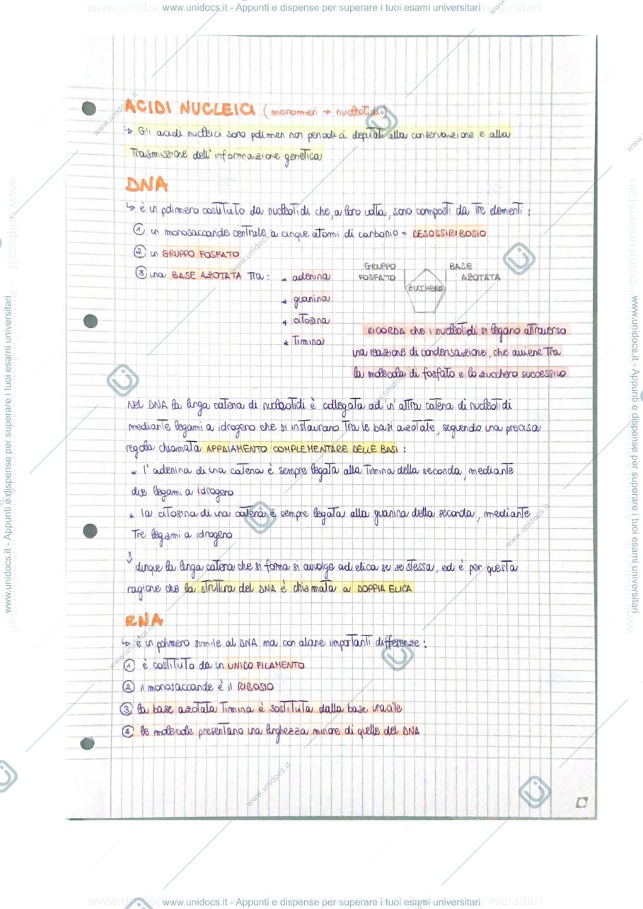 Anteprima pagina 1 — appunti macromolecole 