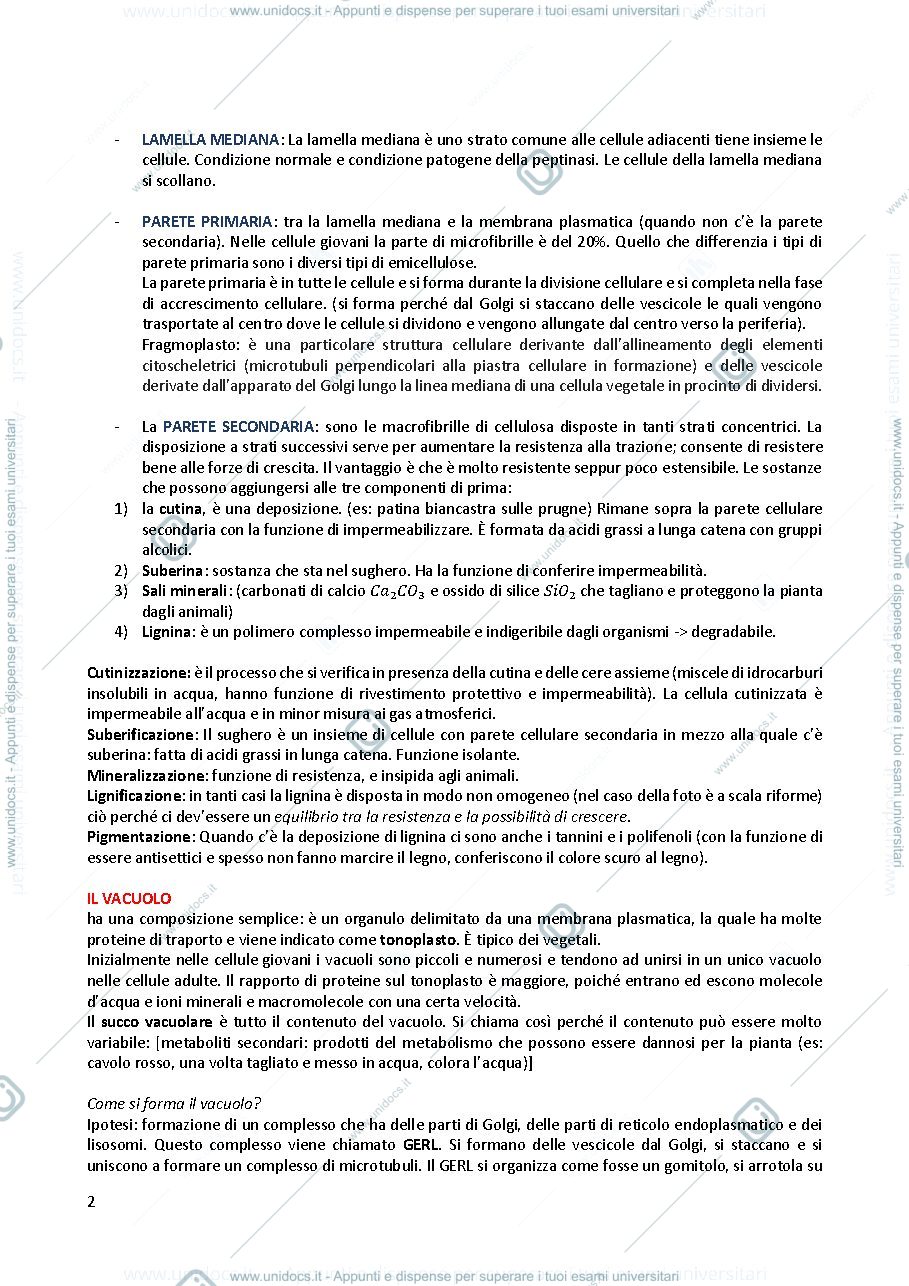 Anteprima pagina 2 — Appunti di biologia e botanica unito