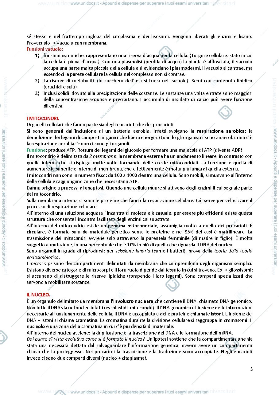 Anteprima pagina 3 — Appunti di biologia e botanica unito
