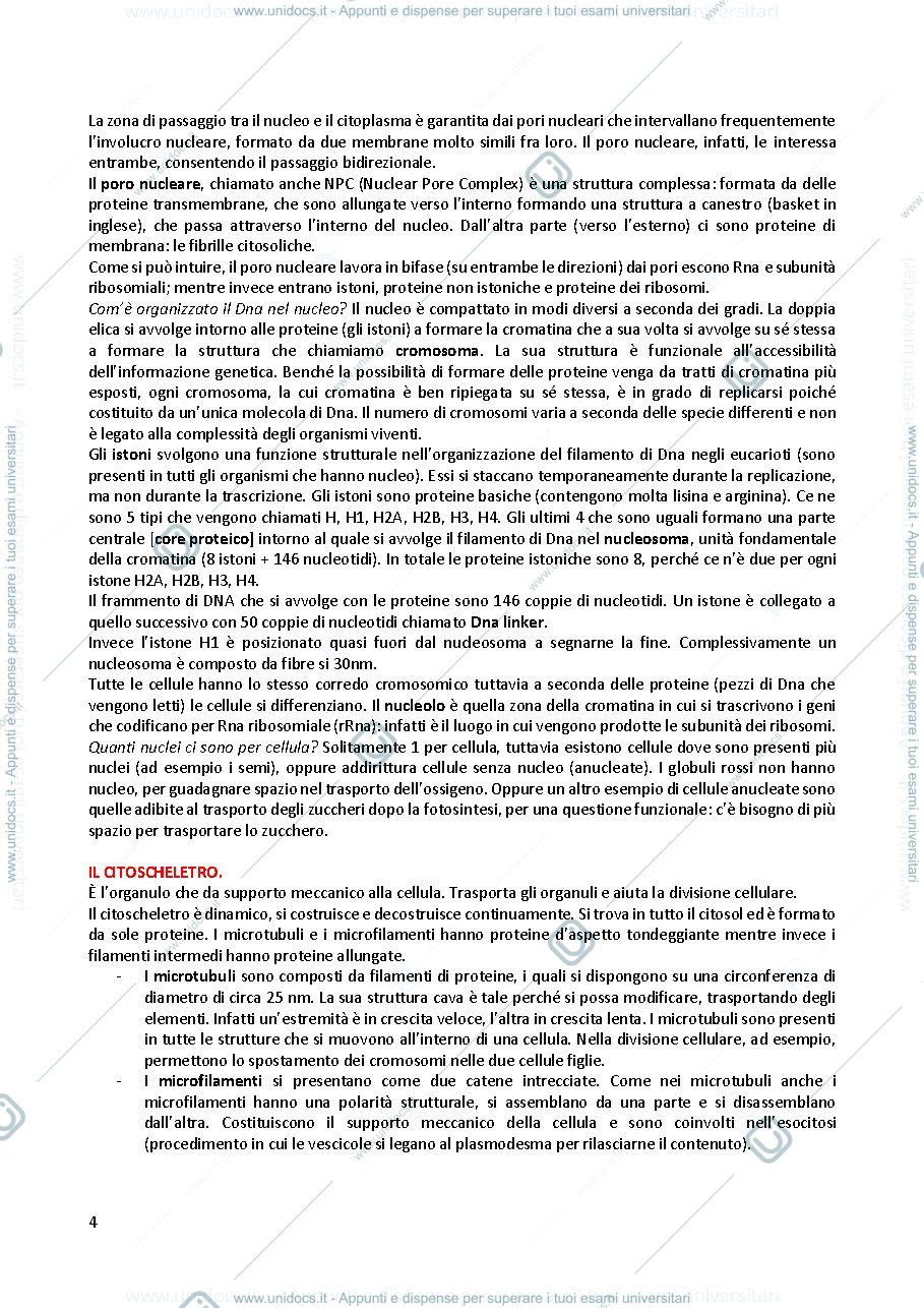 Anteprima pagina 4 — Appunti di biologia e botanica unito
