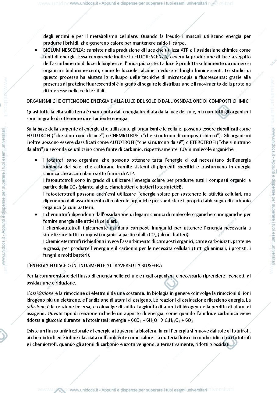 Anteprima pagina 2 — biologia generale e cellulare - Energia ed Enzimi