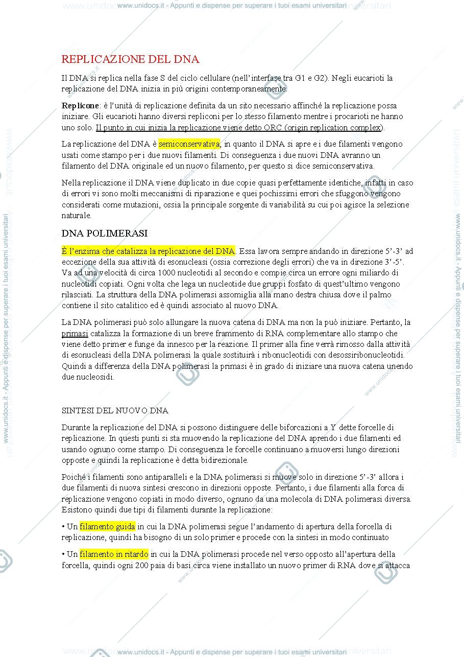 Anteprima pagina 1 — replicazione, trascrizione e traduzione del DNA