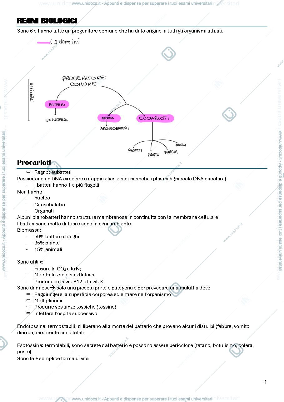 Anteprima pagina 1 — Biologia 