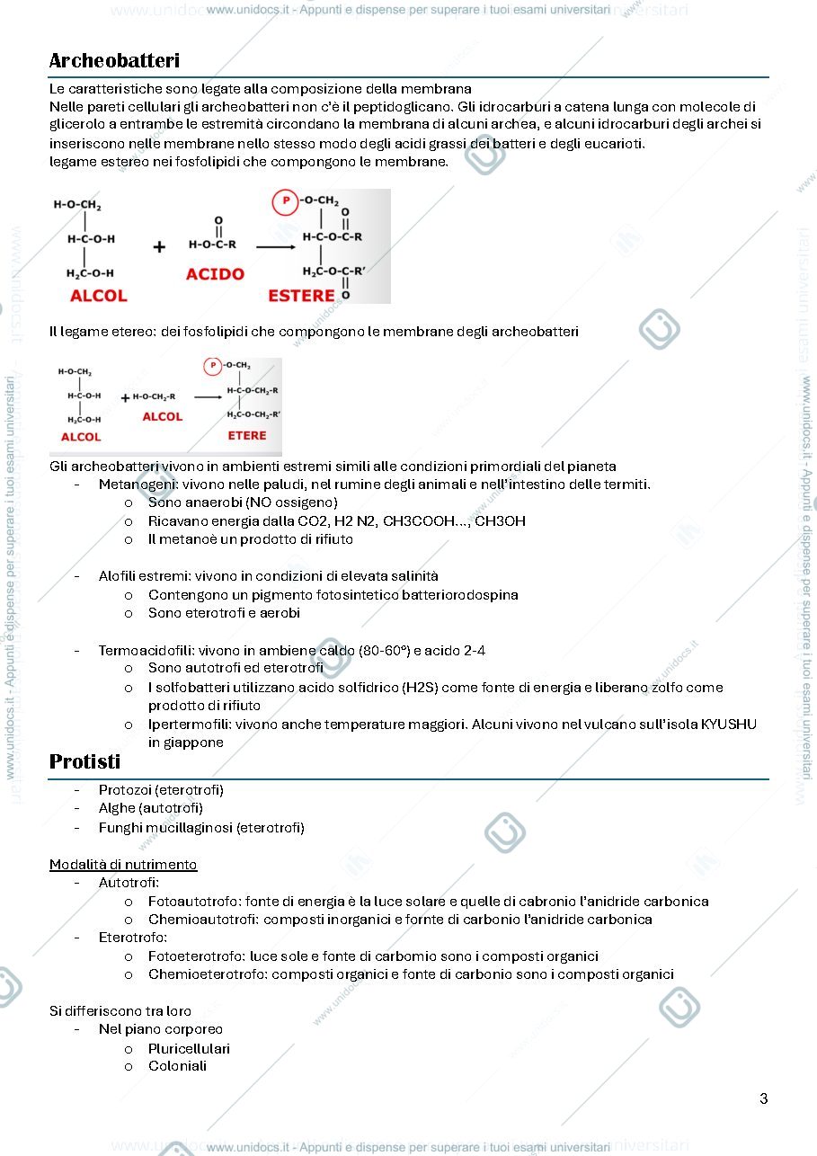 Anteprima pagina 3 — Biologia 