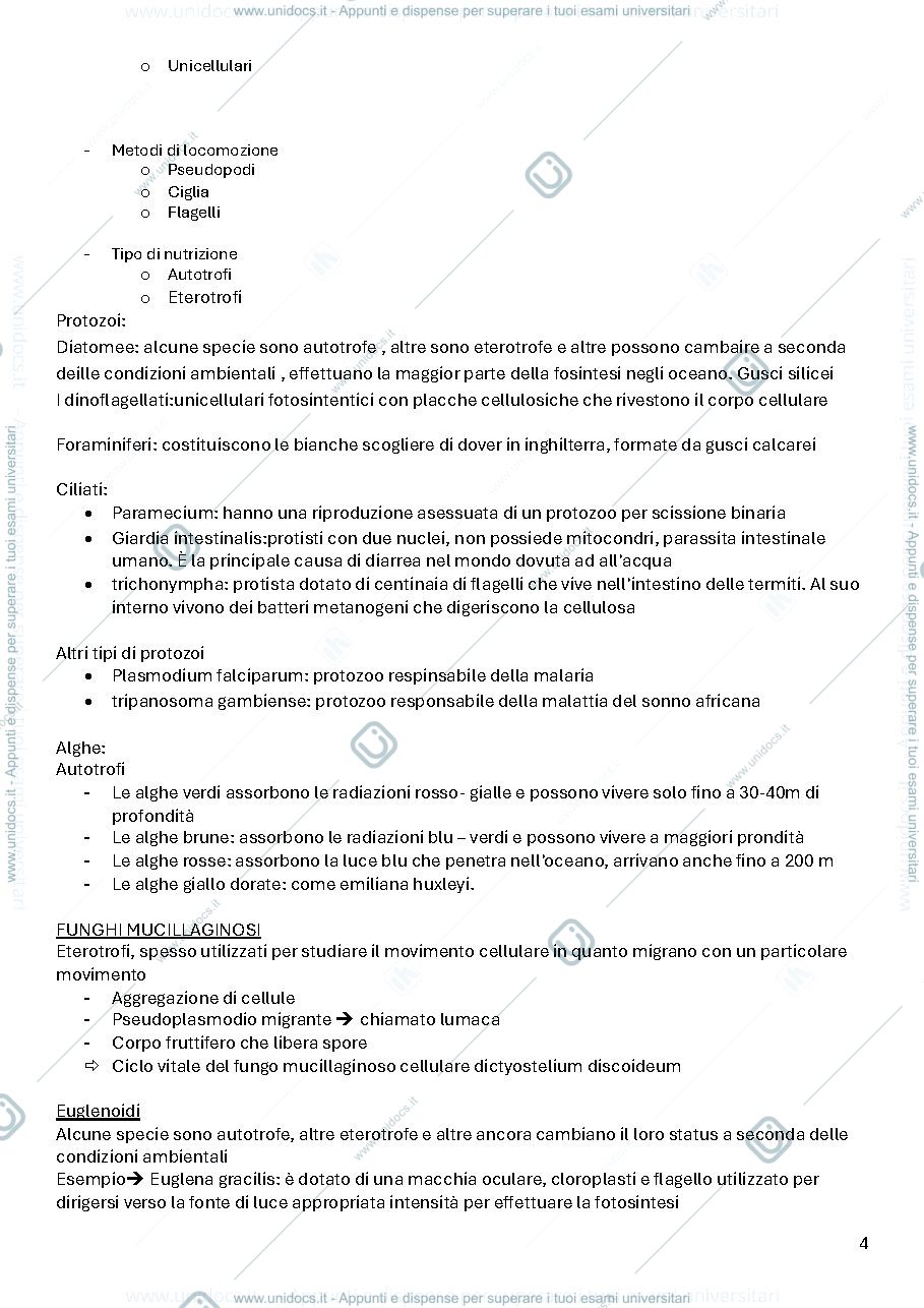 Anteprima pagina 4 — Biologia 