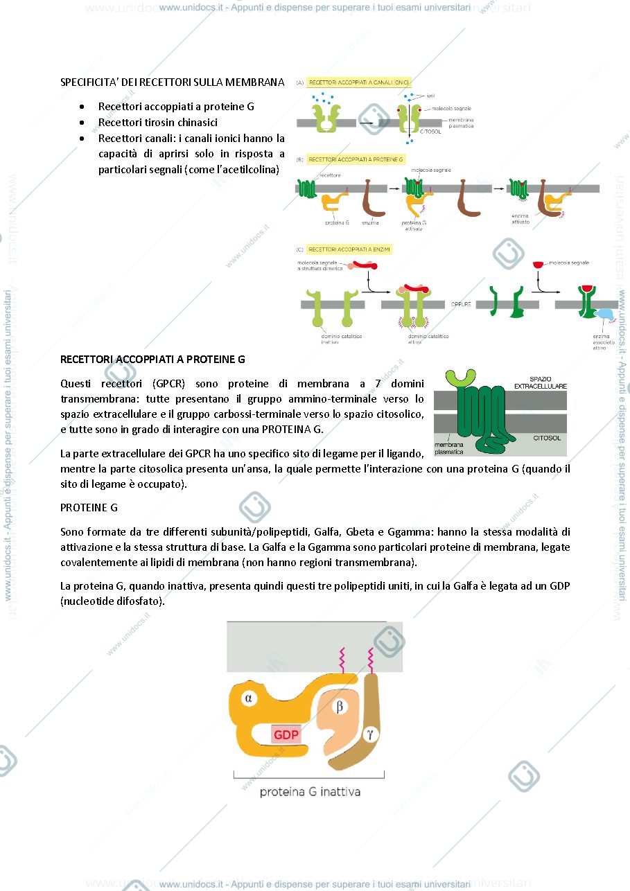 Anteprima pagina 3 — biologia generale e cellulare - La Comunicazione