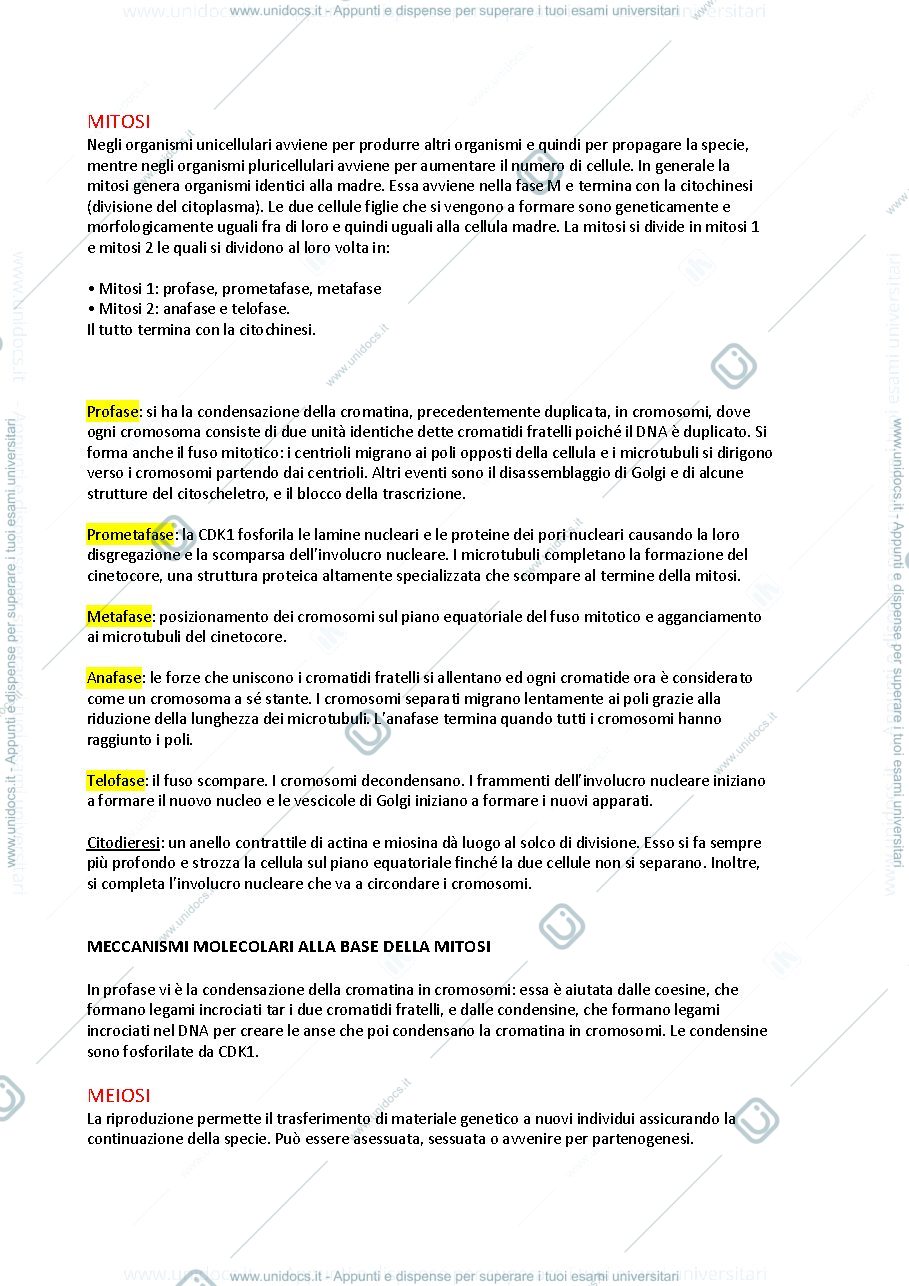 Anteprima pagina 1 — meiosi e mitosi