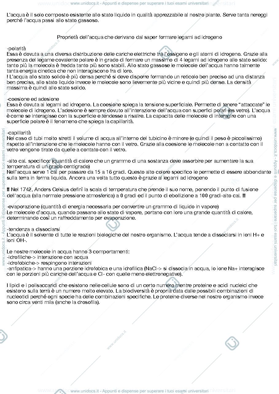 Anteprima pagina 2 — appunti lezioni