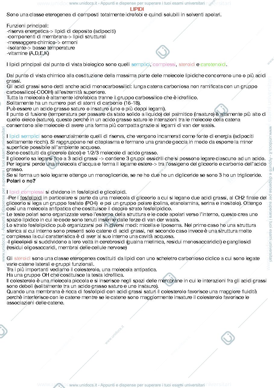 Anteprima pagina 3 — appunti lezioni