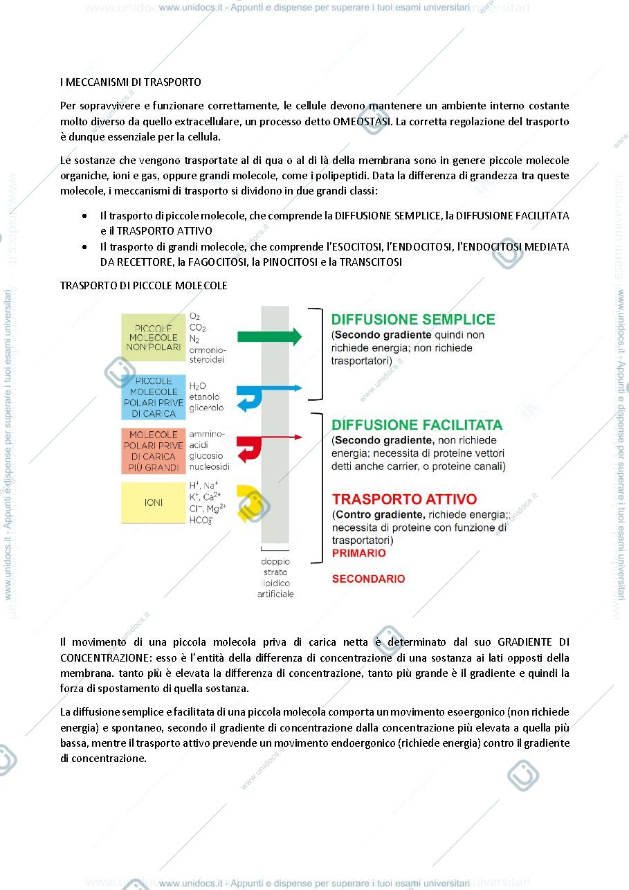 Anteprima pagina 1 — biologia generale e cellulare - Il Trasporto