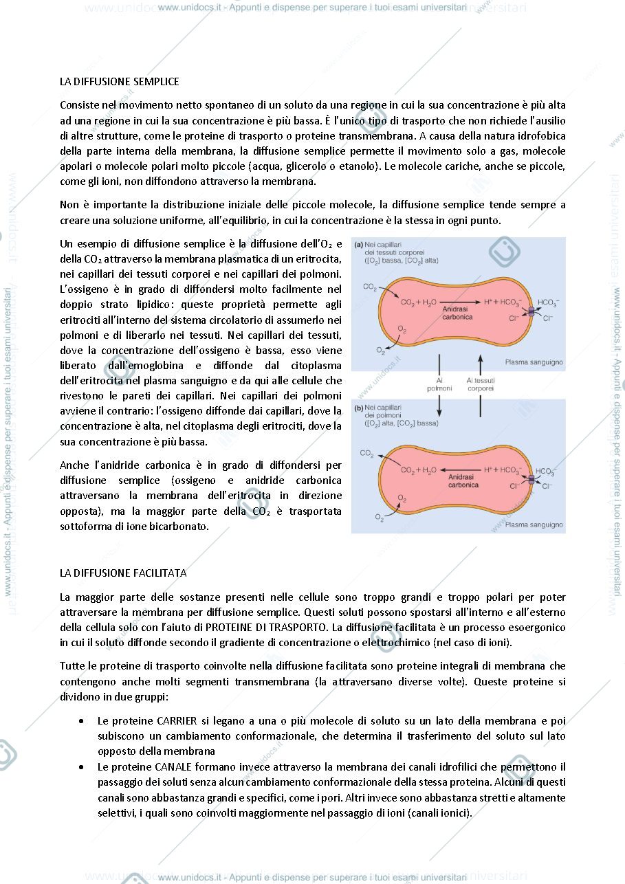 Anteprima pagina 2 — biologia generale e cellulare - Il Trasporto
