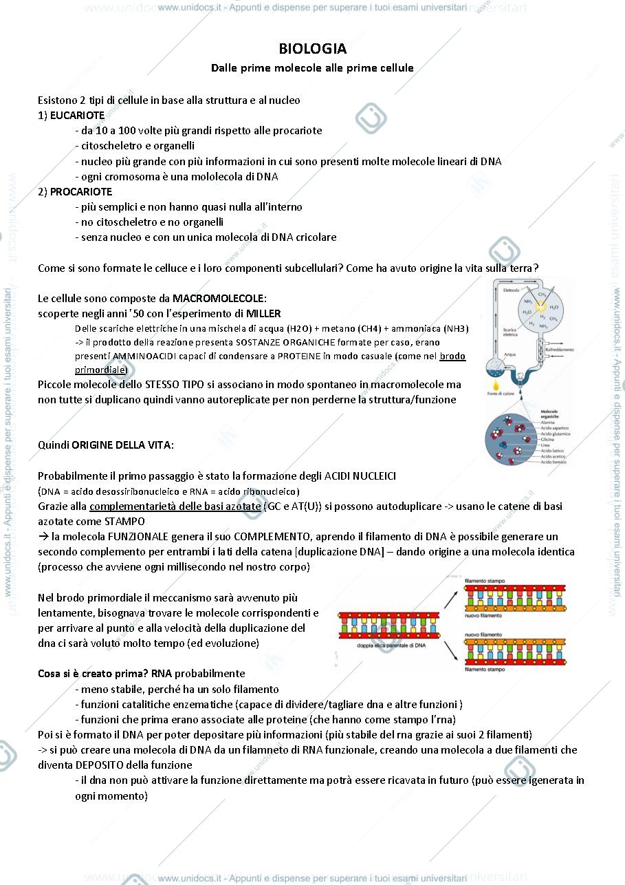 Anteprima pagina 1 — BIOLOGIA Cellulare - dalle prime molecole alle prime cellule - Biotech