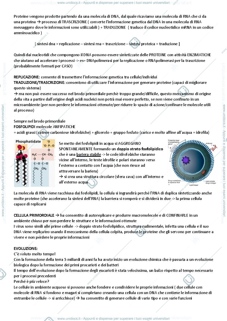 Anteprima pagina 2 — BIOLOGIA Cellulare - dalle prime molecole alle prime cellule - Biotech